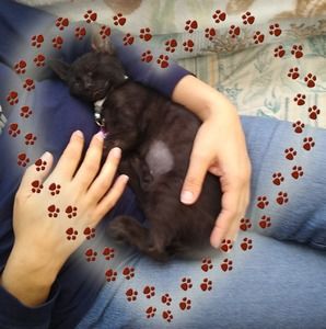 Meet your Posher, Kimberly